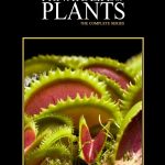 The Private Life of Plants