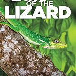 Laws of the Lizard