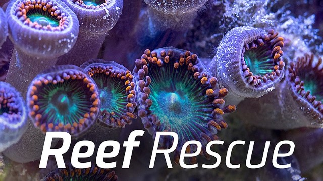Reef Rescue