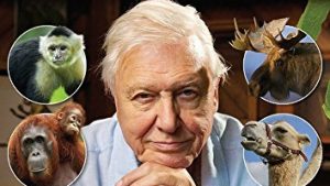 David Attenboroughs Natural Curiosities Series 3