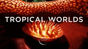 Part 1 Tropical Worlds