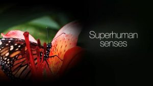 Part 5 Superhuman Senses