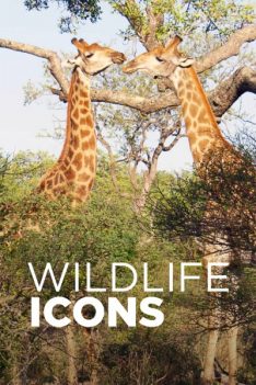 Wildlife Icons 1