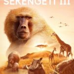 Serengeti III
