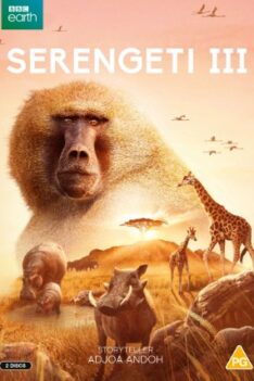 Serengeti III