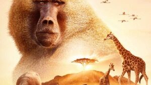 Serengeti III