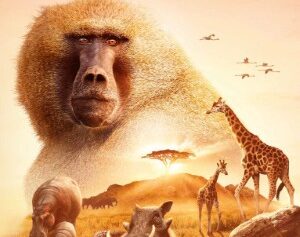 Serengeti III